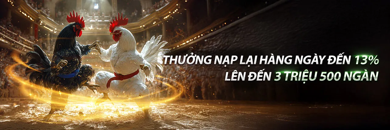 Sân vận động bóng đá với logo 555bet, biểu tượng cá cược thể thao